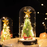 New glass cover ornaments Christmas LED lights illuminated Christmas tree Santa Claus lights suitable for restaurant cake shop household decoration