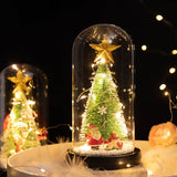 New glass cover ornaments Christmas LED lights illuminated Christmas tree Santa Claus lights suitable for restaurant cake shop household decoration